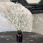 Экобокс: сухоцветы Гипсофила белая в Санкт-Петербурге - Фотография 5