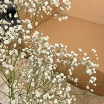 Экобокс: сухоцветы Гипсофила белая в Санкт-Петербурге - Фотография 3