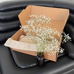 Экобокс: сухоцветы Гипсофила белая в Санкт-Петербурге - Фотография 1