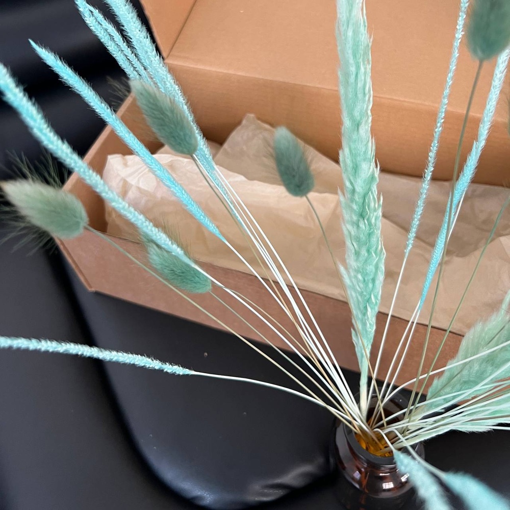 Экобокс: сухоцветы Лагурус, Камыш и Бабала