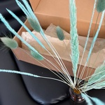 Экобокс: сухоцветы Лагурус, Камыш и Бабала в Санкт-Петербурге - Фотография 4 Экобокс: сухоцветы Лагурус, Камыш и Бабала в Санкт-Петербурге - Фотография 4