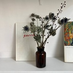 Экобокс: сухоцветы Эрингиум и Лён в Санкт-Петербурге - Фотография 3