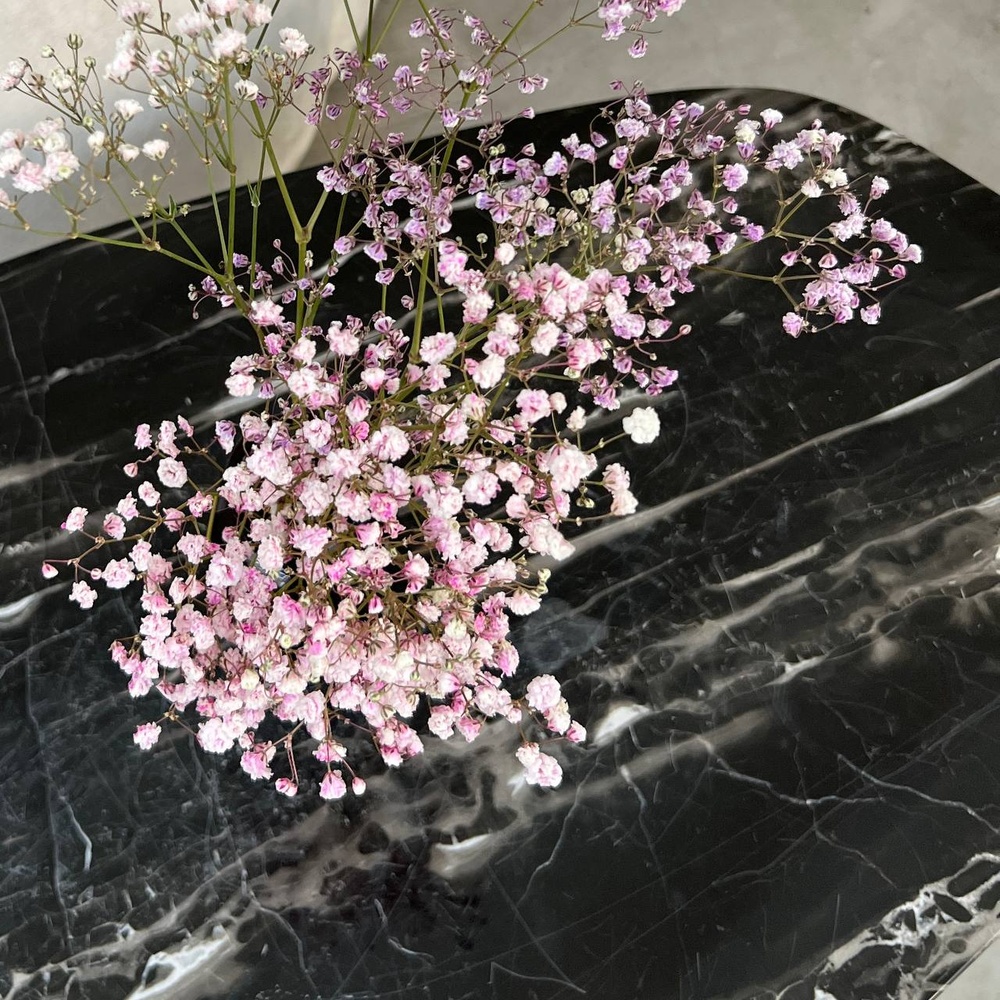 Экобокс: сухоцветы Гипсофила розовая