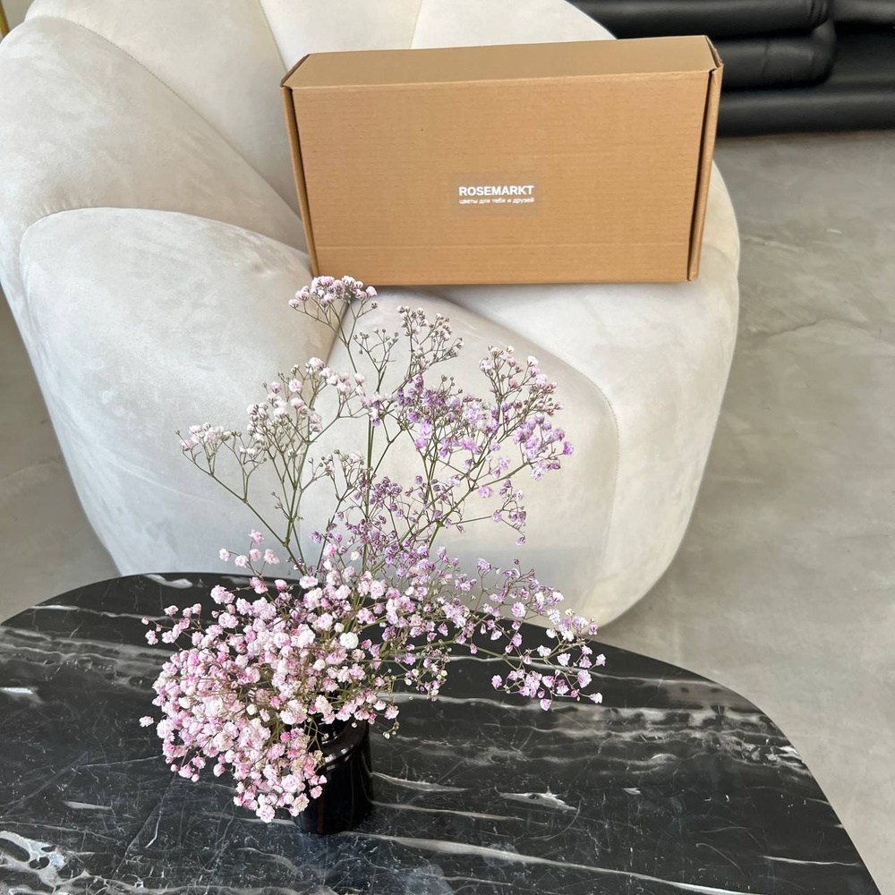 Экобокс: сухоцветы Гипсофила розовая