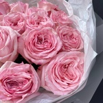 Тот самый букет из 15 пионовидных роз в Санкт-Петербурге - Фотография 5