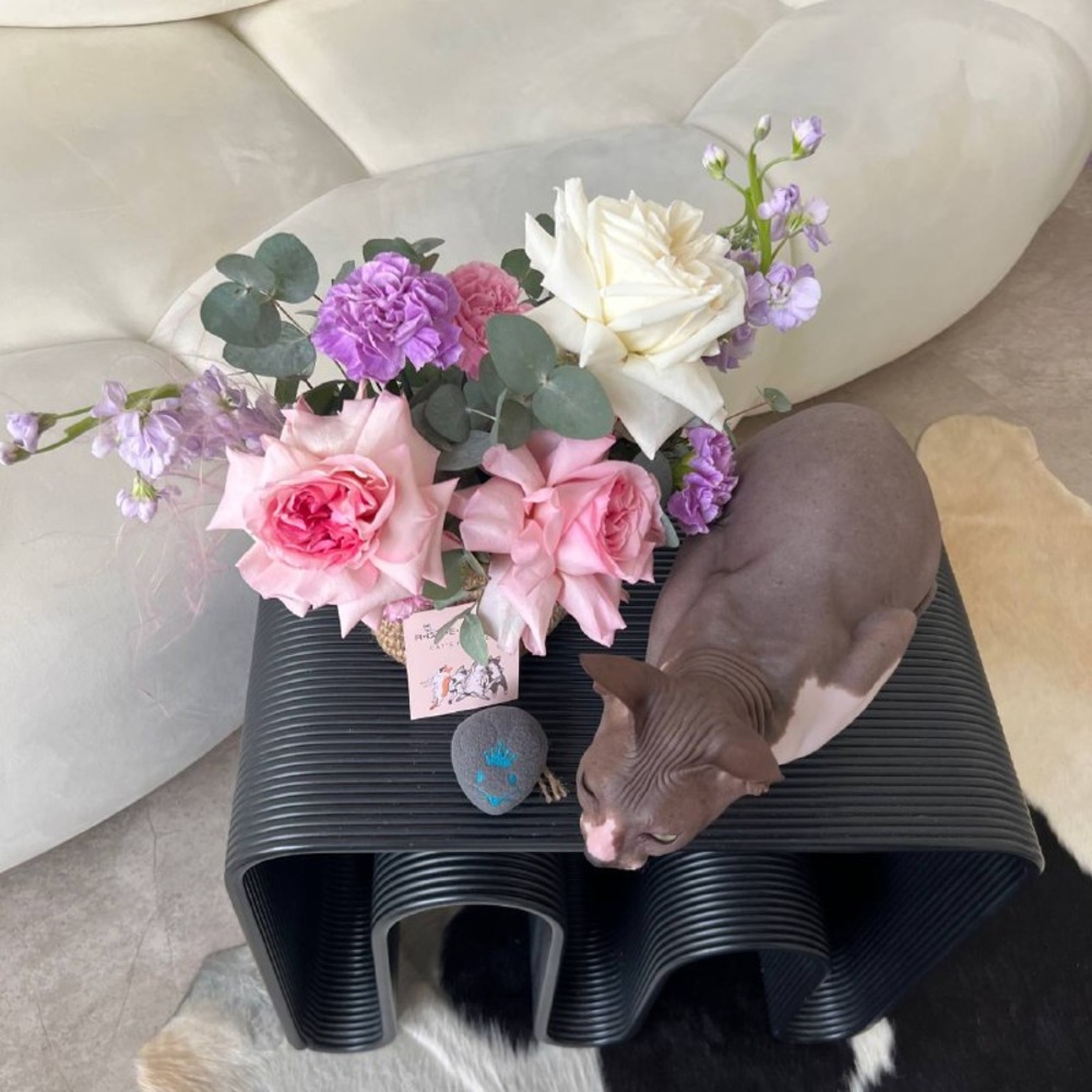 Пурпурный Майкл: композиция в кашпо ручной работы с пионовидными розами 