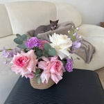 Пурпурный майкл: композиция в кашпо ручной работы  - Фотография 5