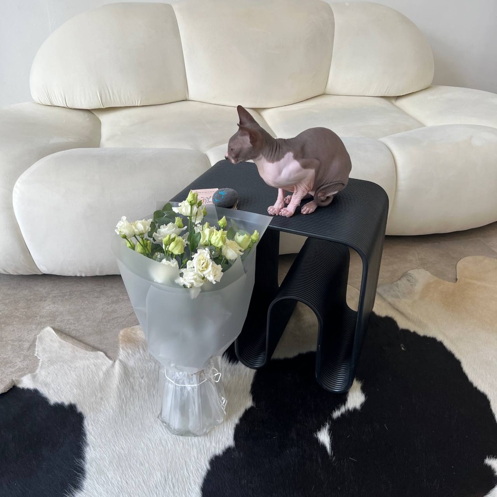 Антицарапки: моно кружевного лизиантуса в воздужной упаковке