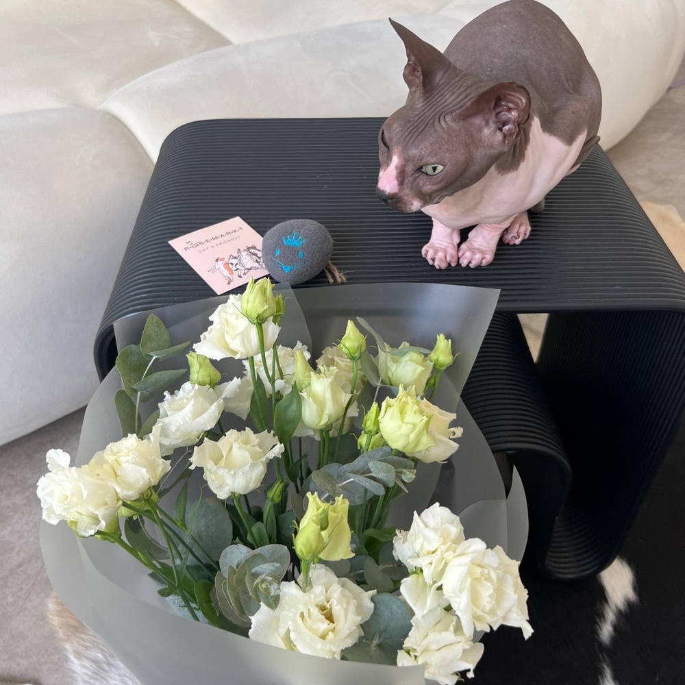 Антицарапки: моно кружевного лизиантуса в воздужной упаковке