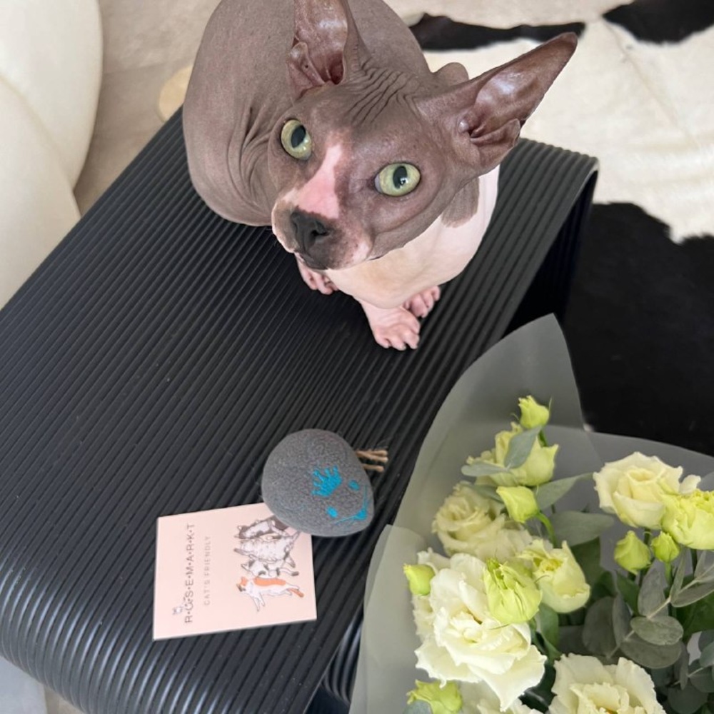 Антицарапки: моно кружевного лизиантуса в воздужной упаковке