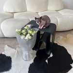 Антицарапки: букет кружевных лизиантусов  - Фотография 6