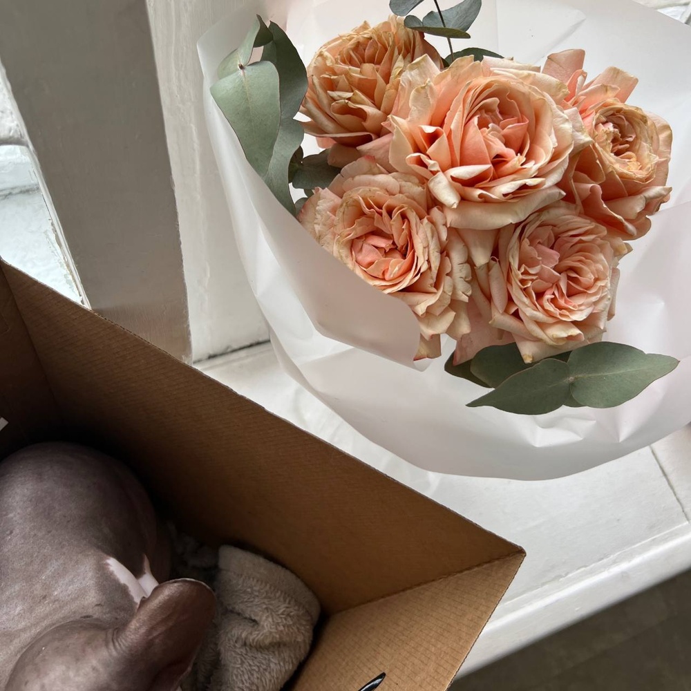 Миска с подушечками: букет из стойкой пионовидной розы меняющей свой оттенок