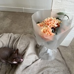 Миска с подушечками: букет из стойких пионовидных роз - Фотография 5