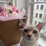 Матильда и ваниль: букет из ароматных пионовидных роз - Фотография 3