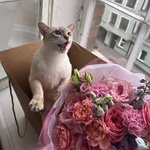 Царство Моти: букет в розовой гамме с пионовидными цветами  - Фотография 3