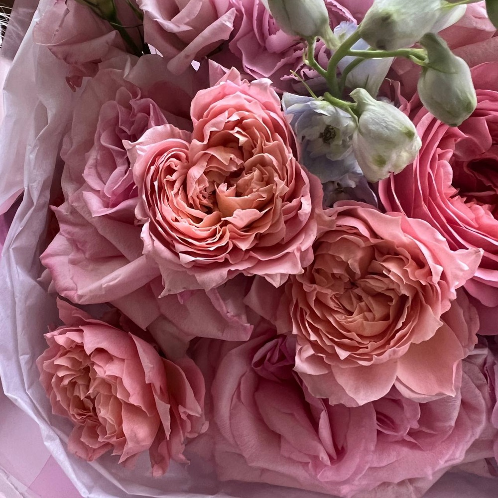 Царство Моти: букет из пионовидных роз, небесно-голубого дельфиниума и других цветов