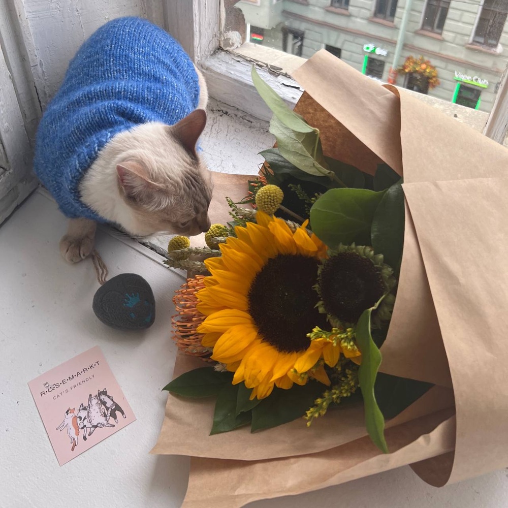 Алиса: солнечный букет с подсолнухами и леукаспермумами, в стильном крафте 