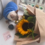 Алиса: букет с подсолнухом и тропическими цветами - Фотография 4