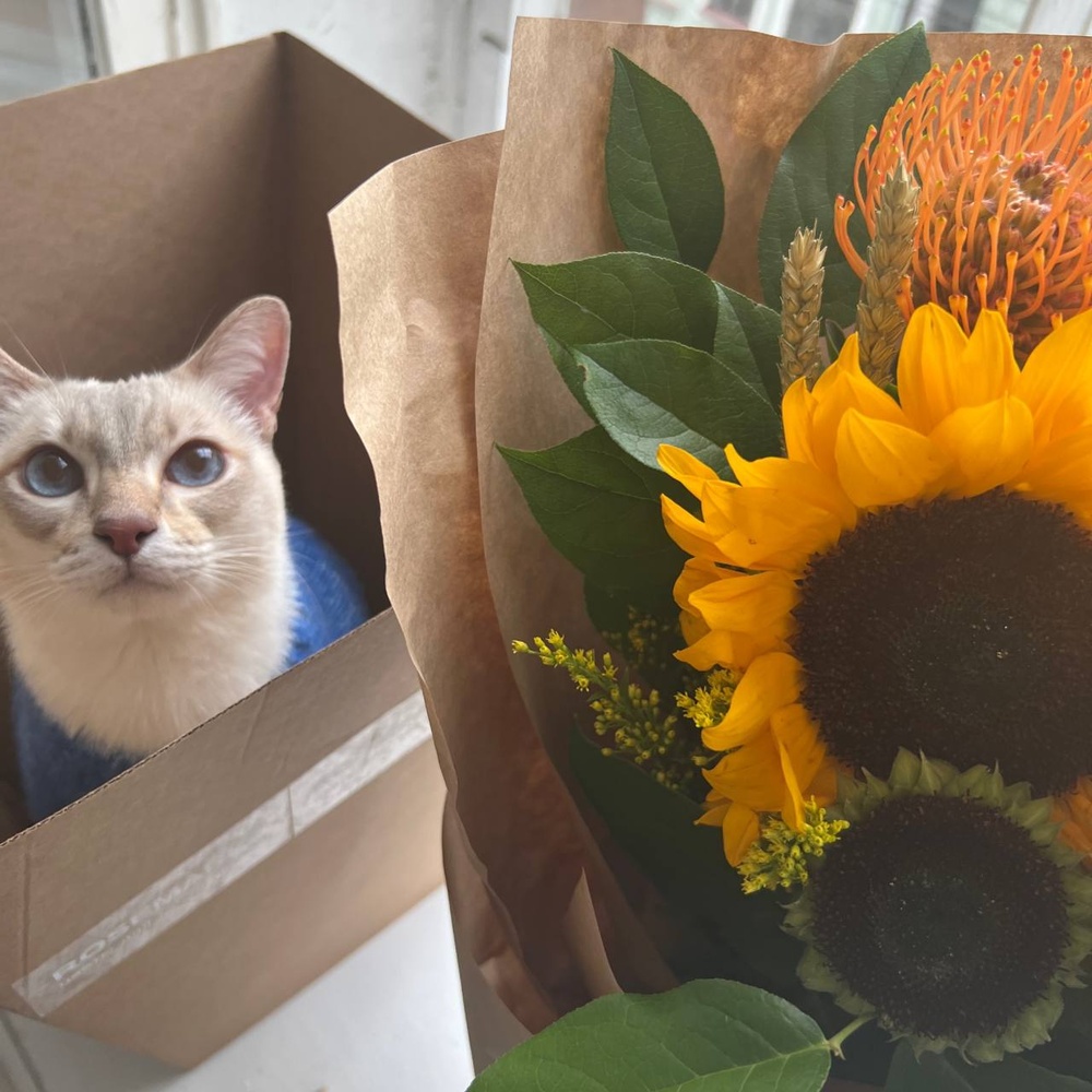 Алиса: солнечный букет с подсолнухами и леукаспермумами, в стильном крафте 