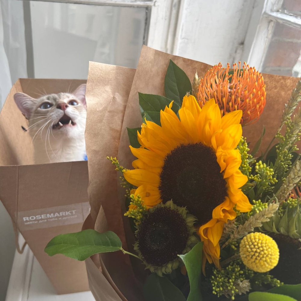 Алиса: солнечный букет с подсолнухами и леукаспермумами, в стильном крафте 