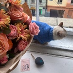 Шершавый язычок: букет из стойких пионовидных роз и гербер с ароматным эвкалиптом - Фотография 3