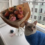 Шершавый язычок: букет из стойких пионовидных роз и гербер с ароматным эвкалиптом - Фотография 6