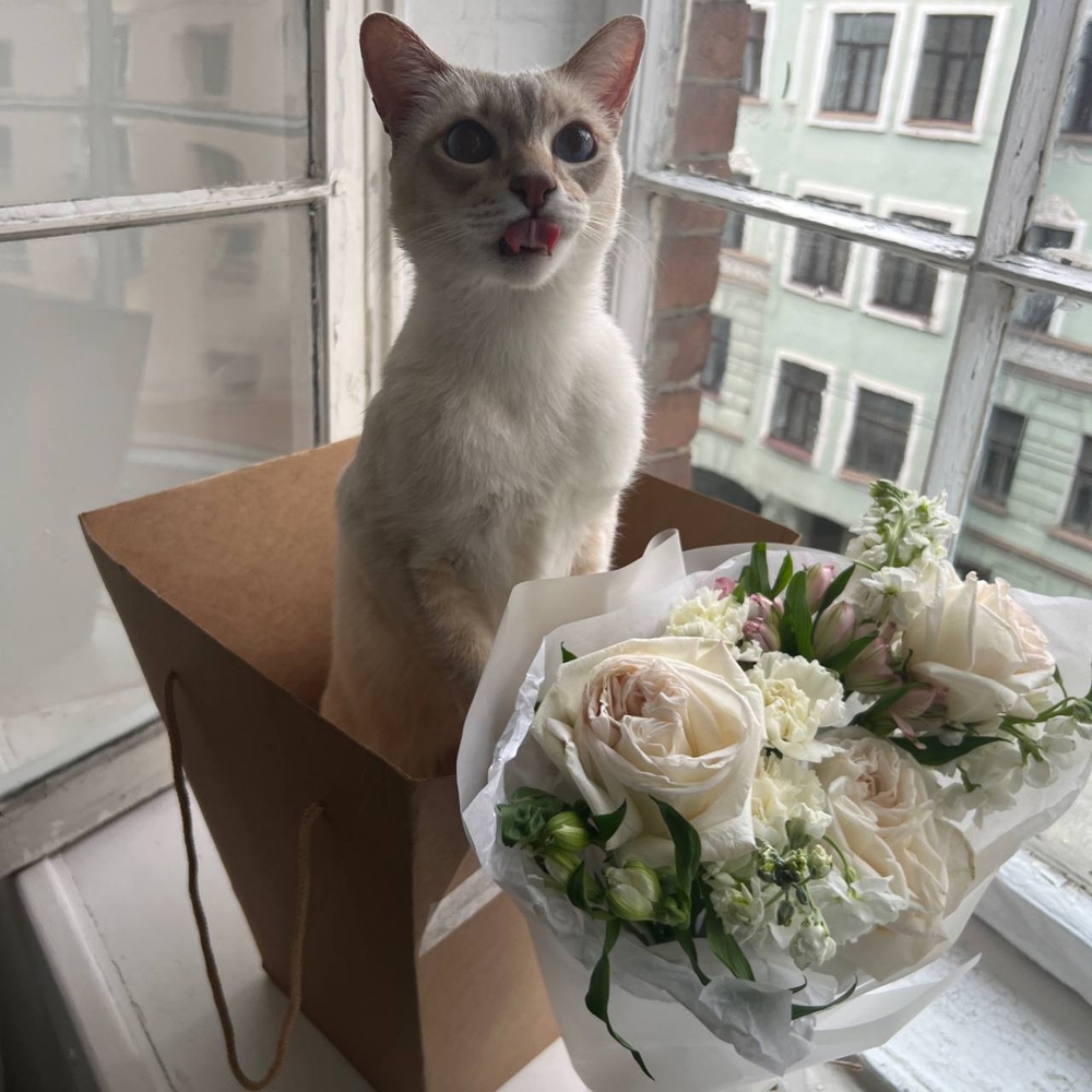 Раф на кошачей мяте: букет из ароматных цветов в белой гамме