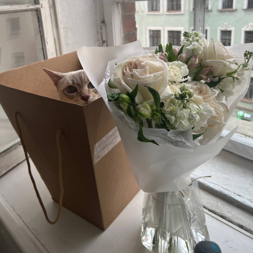 Раф на кошачей мяте: букет из ароматных цветов в белой гамме