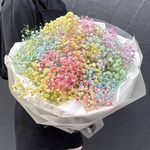 Радужный пони: разноцветная гипсофила в лаконичной упаковке в Санкт-Петербурге - Фотография 1