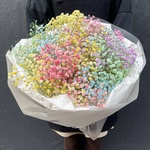 Радужный пони: разноцветная гипсофила в лаконичной упаковке в Санкт-Петербурге - Фотография 5