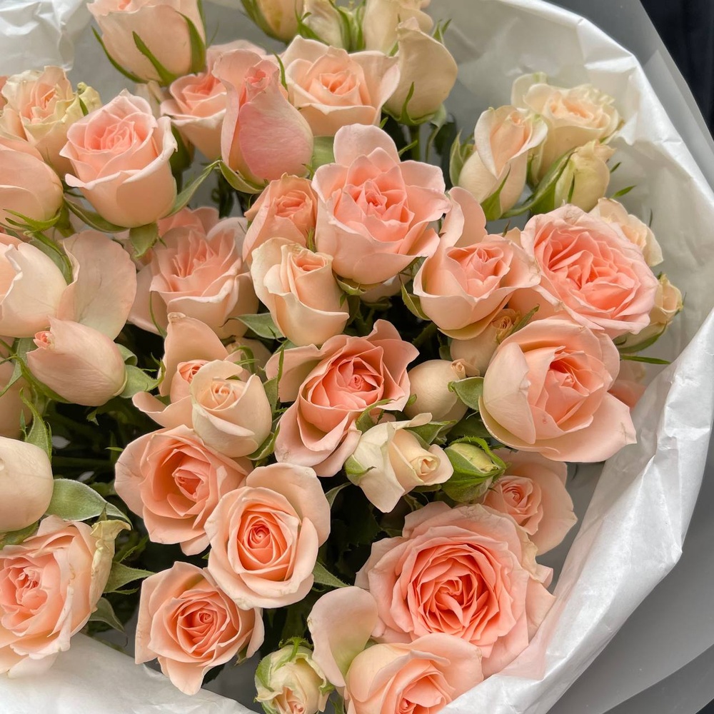 День 14: персиковые розы в лаконичной упаковке с аквабоксом и коробкой-переноской