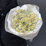 Ромашковый Ти: 9 ромашек в лаконичной упаковке в Санкт-Петербурге - Фотография 2