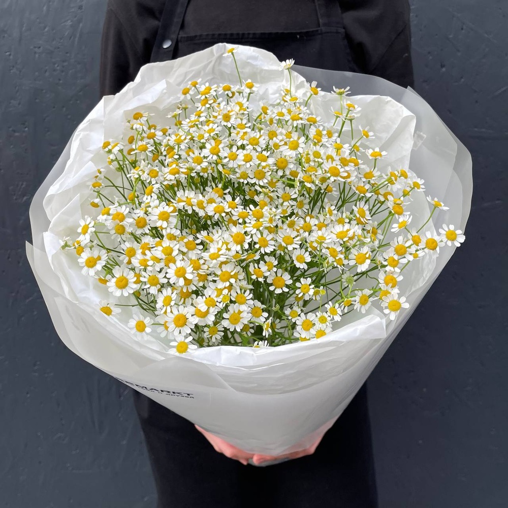 Ромашковый Ти: 15 ромашек в лаконичной упаковке + коробка-переноска с аквабоксом 