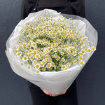 Ромашковый Ти: 15 ромашек в лаконичной упаковке в Санкт-Петербурге - Фотография 2