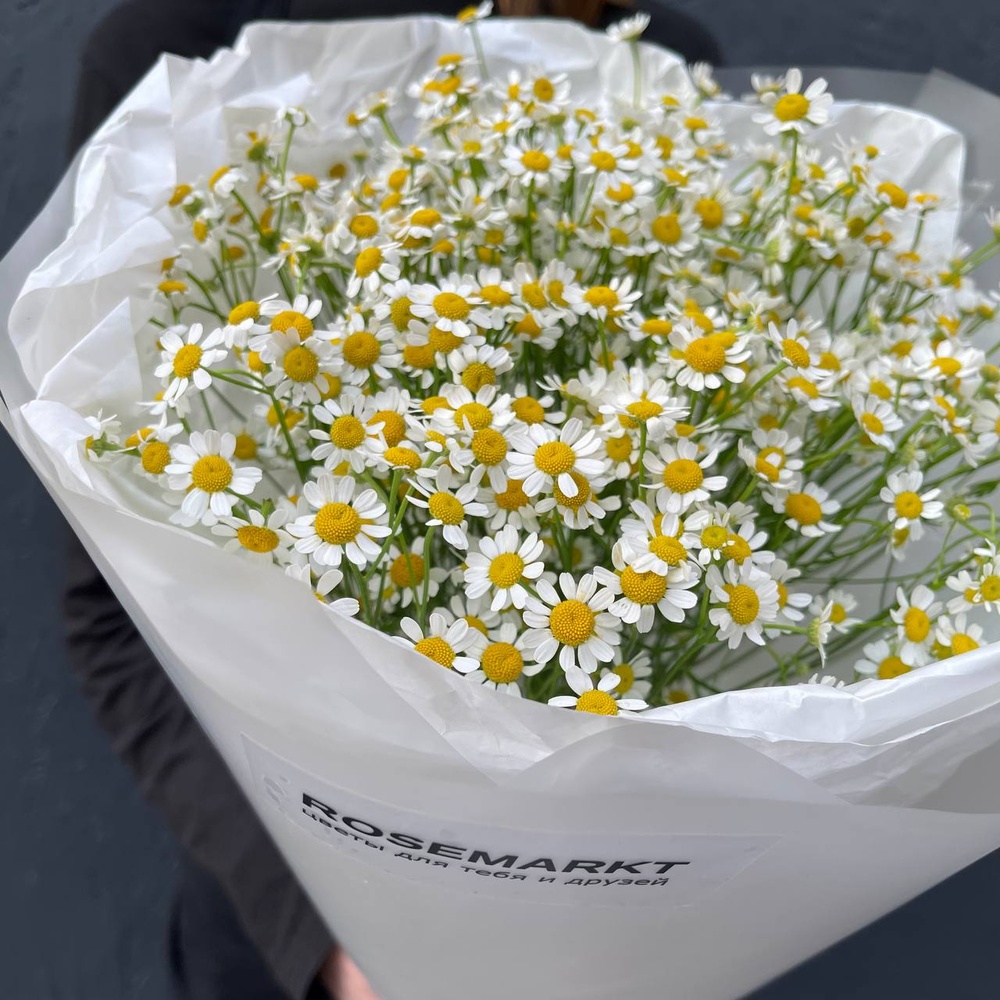 Ромашковый Ти: 15 ромашек в лаконичной упаковке + коробка-переноска с аквабоксом 