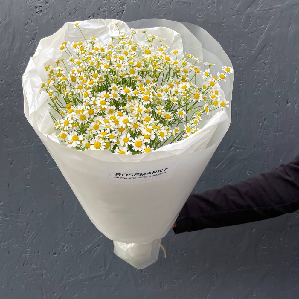 Ромашковый Ти: 15 ромашек в лаконичной упаковке + коробка-переноска с аквабоксом 