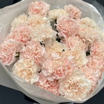 Пудровые яблочки: стойкие диантусы в лаконичной упаковке в Санкт-Петербурге - Фотография 5