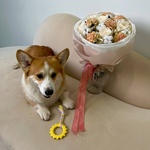 Свежие цветы и букеты с круглосуточной доставкой по Санкт-Петербургу - Фотография 4 Свежие цветы и букеты с круглосуточной доставкой по Санкт-Петербургу - Фотография 4