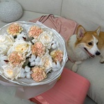 Свежие цветы и букеты с круглосуточной доставкой по Санкт-Петербургу - Фотография 5 Свежие цветы и букеты с круглосуточной доставкой по Санкт-Петербургу - Фотография 5