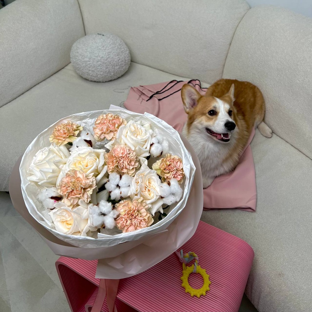 Щенячьи нежности: пионовидная роза, кремовая гвоздика и воздушный хлопок