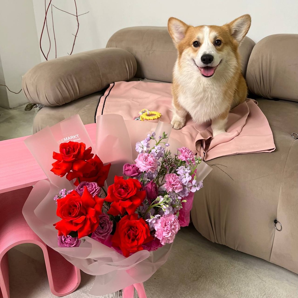 Пушистая любовь: роза Нина, ароматная маттиола и диантус + игрушка для собаки в подарок