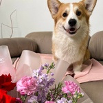 Свежие цветы и букеты с круглосуточной доставкой по Санкт-Петербургу - Фотография 4