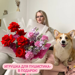 Букет «Пушистая любовь: роза Нина, ароматная маттиола и диантус + игрушка для собаки в подарок» Букет «Пушистая любовь: роза Нина, ароматная маттиола и диантус + игрушка для собаки в подарок»