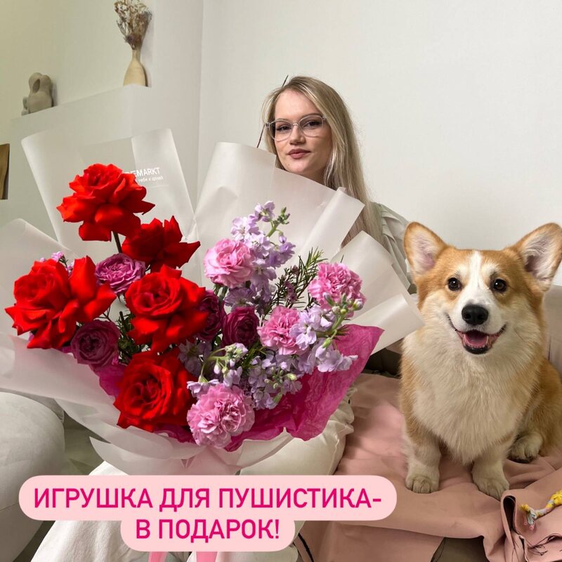 Пушистая любовь: роза Нина, ароматная маттиола и диантус + игрушка для собаки в подарок