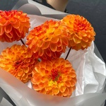 Искрящийся закат: фактурные георгины в лаконичной упаковке - Фотография 2