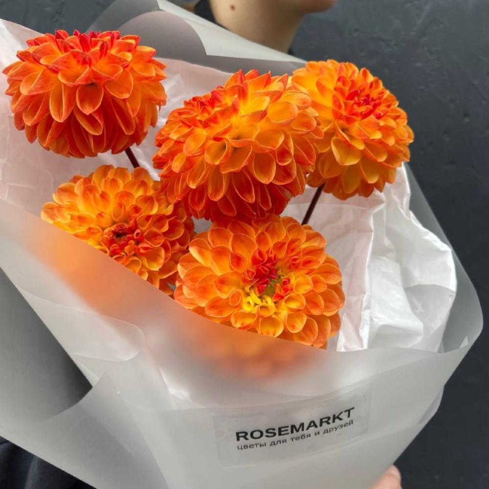 Искрящийся закат: фактурные георгины в лаконичной упаковке