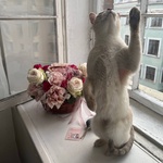 Сэйлор мур: трио роз в корзине с ярким ароматом - Фотография 5