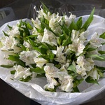 Пюр вайт: 11 белоснежных альстромерий - Фотография 2