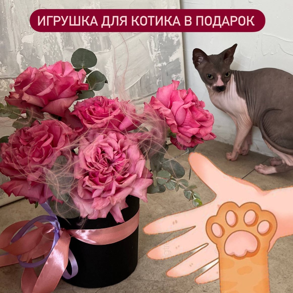 Твоей киске: пионовидные розы в шляпной коробке Твоей киске: пионовидные розы в шляпной коробке