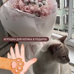 Мона Моника: букет из французских роз с хлопком - Фотография 1